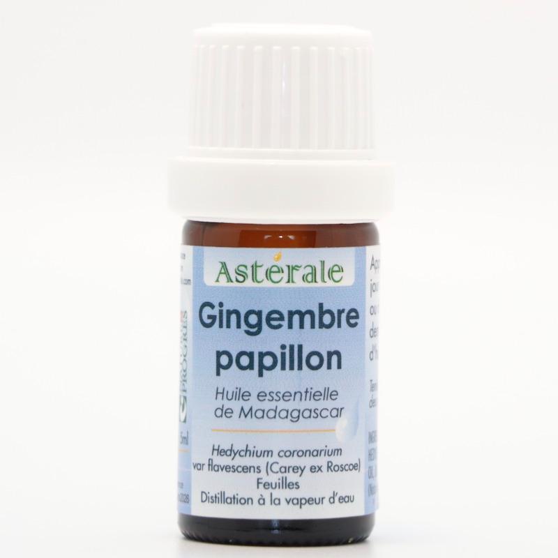GINGEMBRE PAPILLON