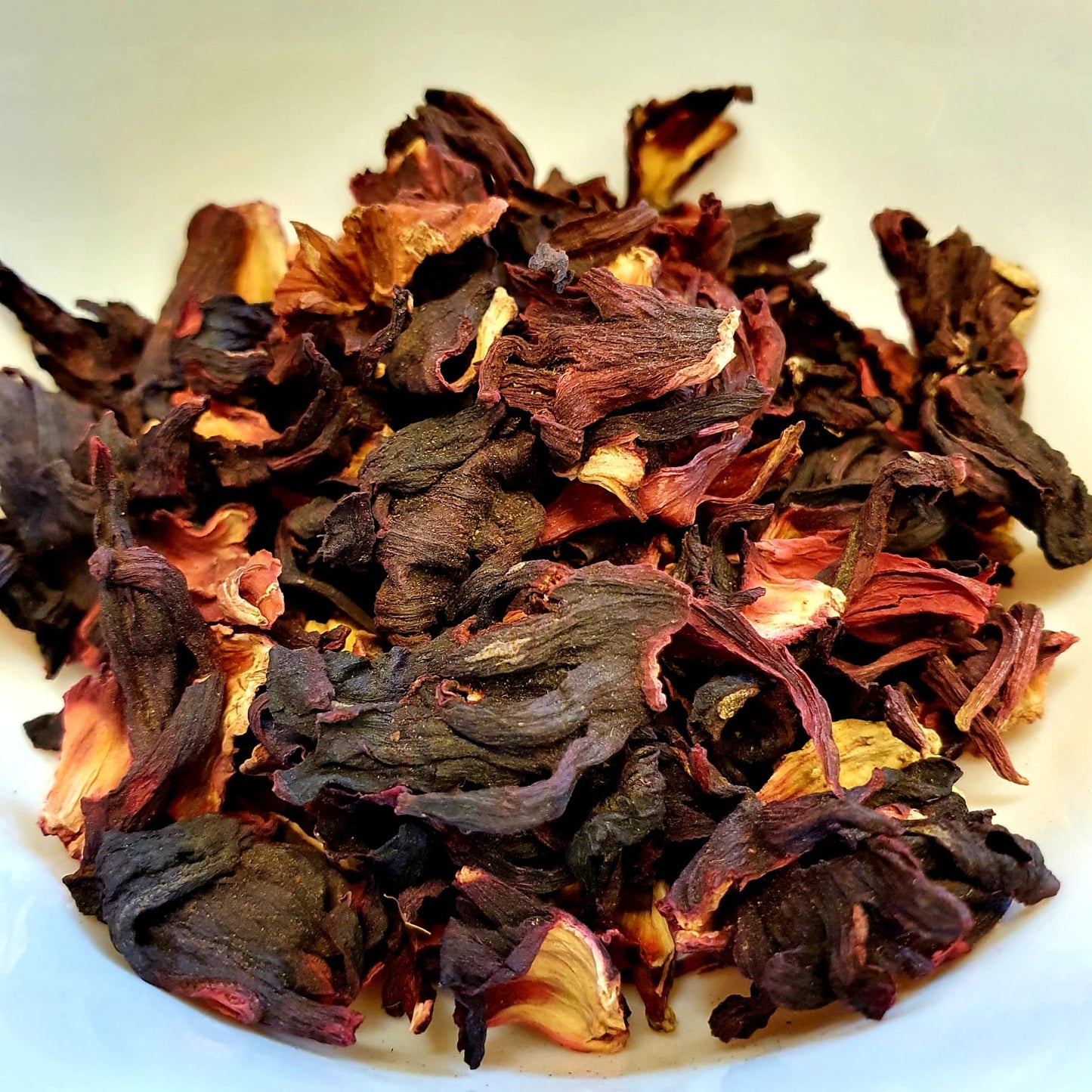 HIBISCUS