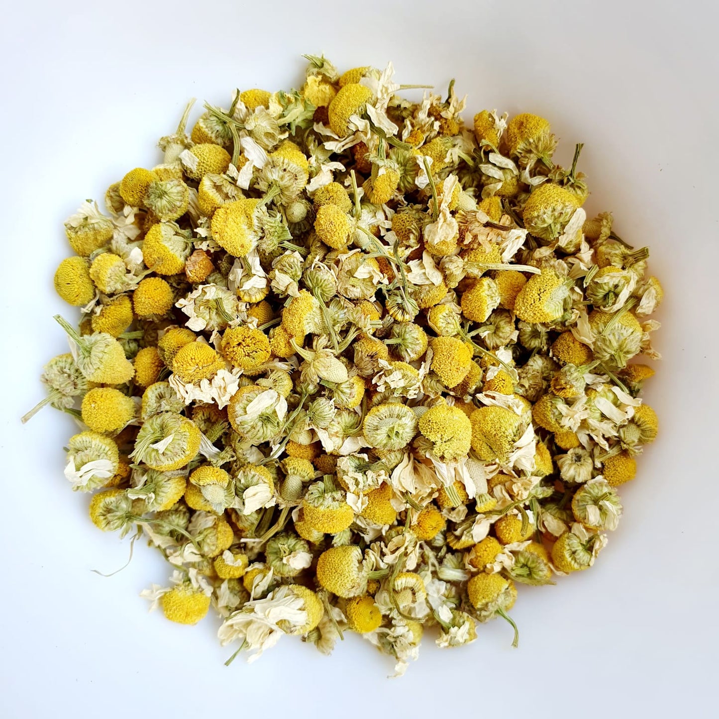 CAMOMILLE ALLEMANDE (MATRICAIRE)