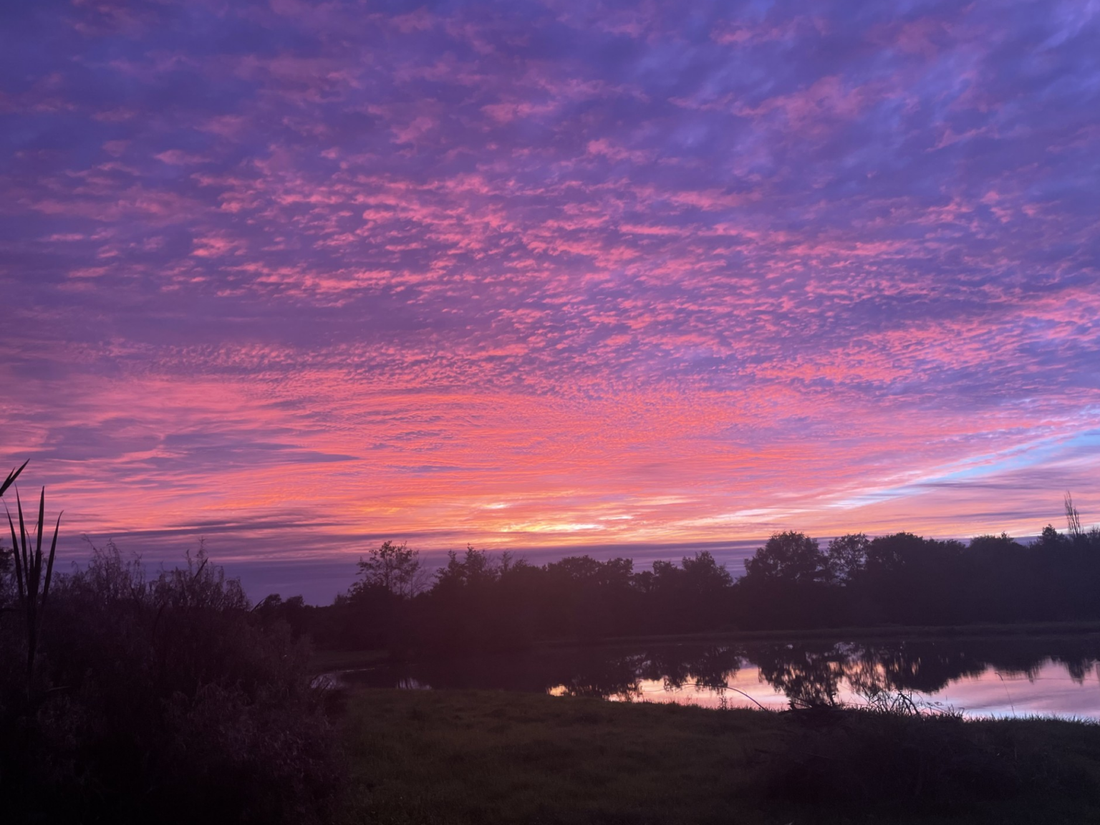 L’automne est là !