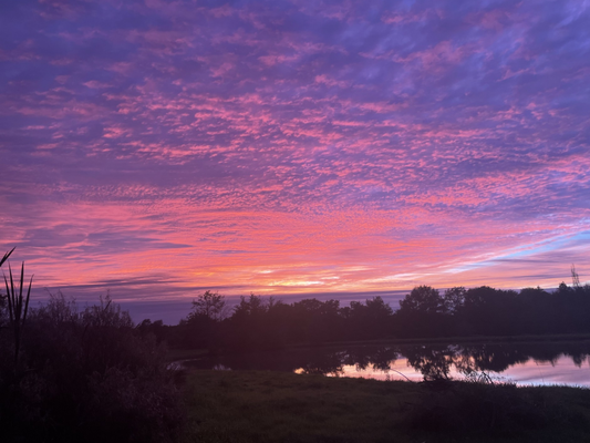 L’automne est là !