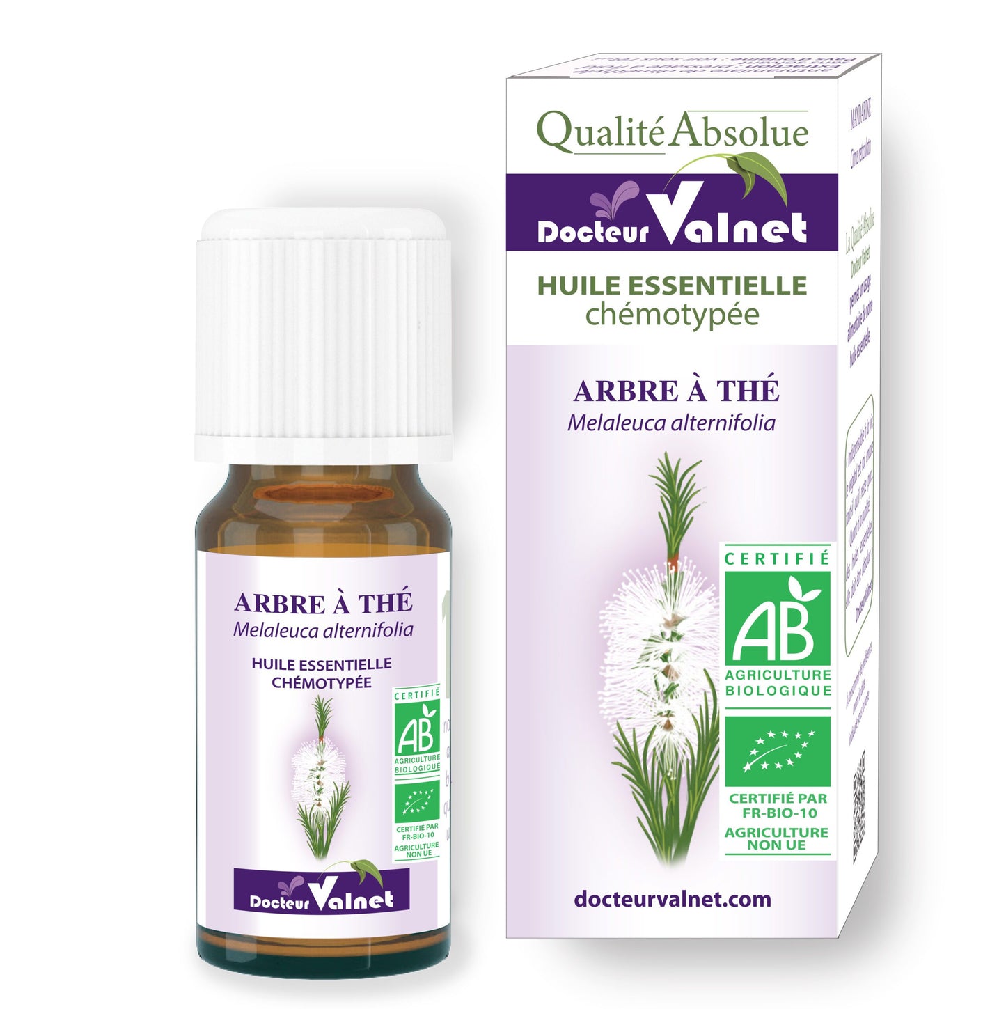 ARBRE A THE