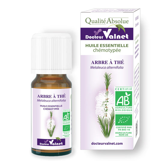 ARBRE A THE