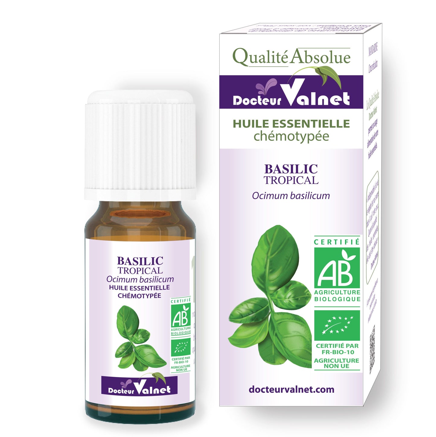 BASILIC TROPICAL