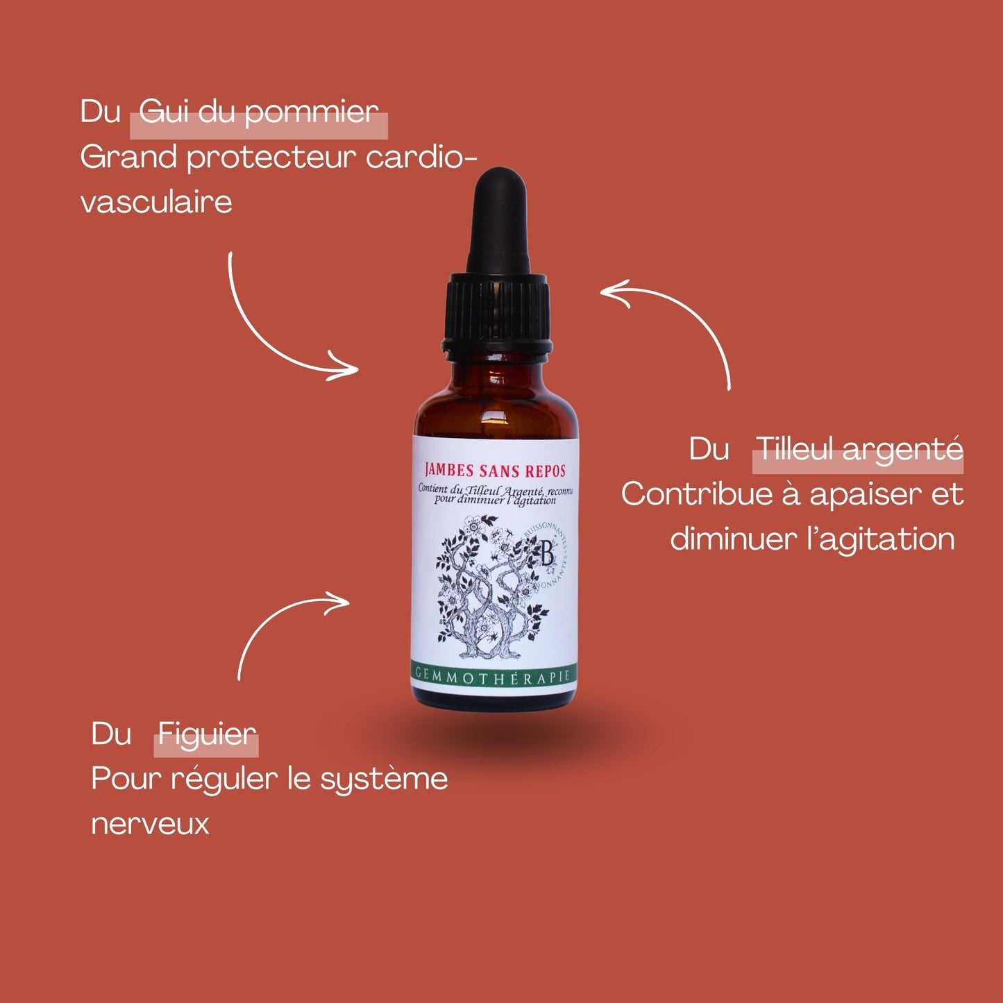 JAMBES SANS REPOS