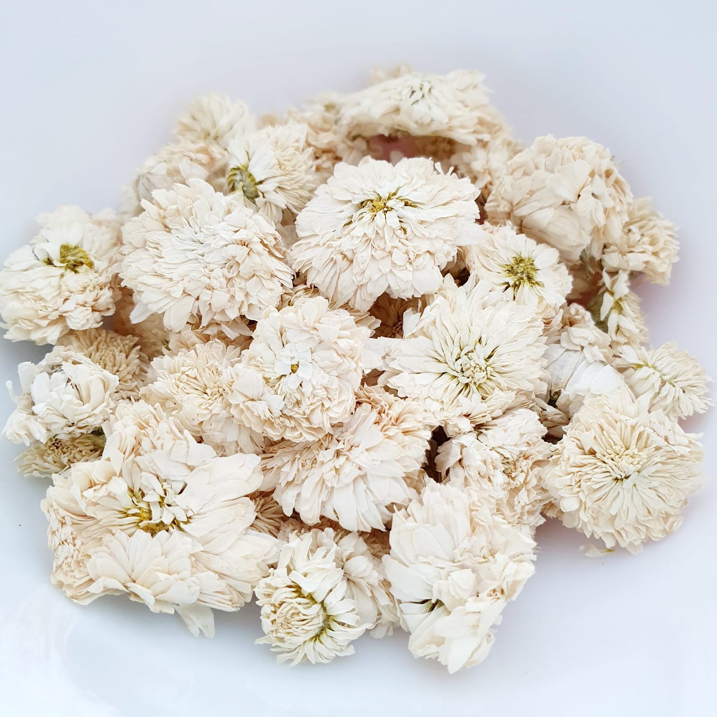 CAMOMILLE ROMAINE (NOBLE)