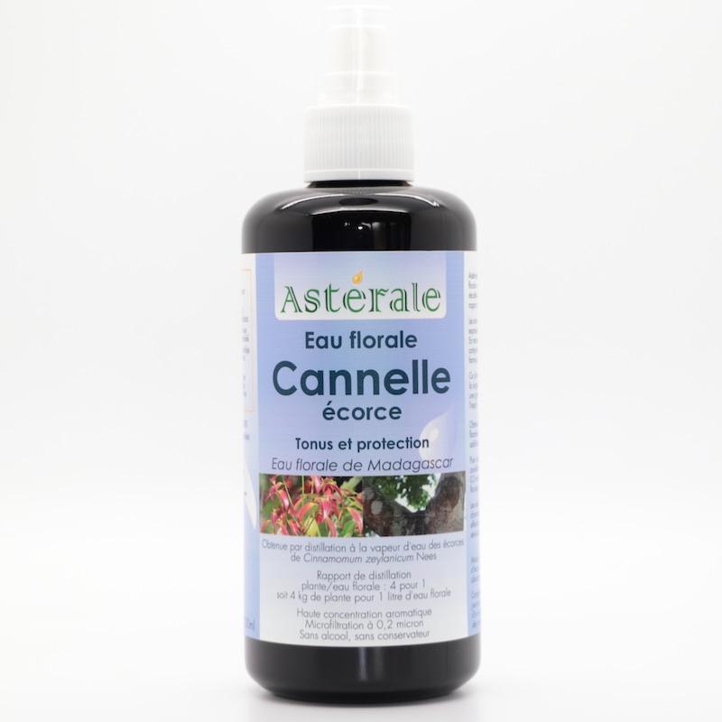 CANNELLE ECORCE