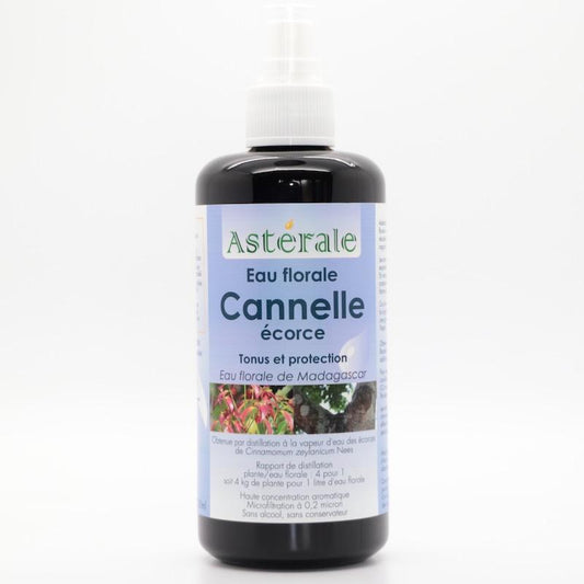 CANNELLE ECORCE