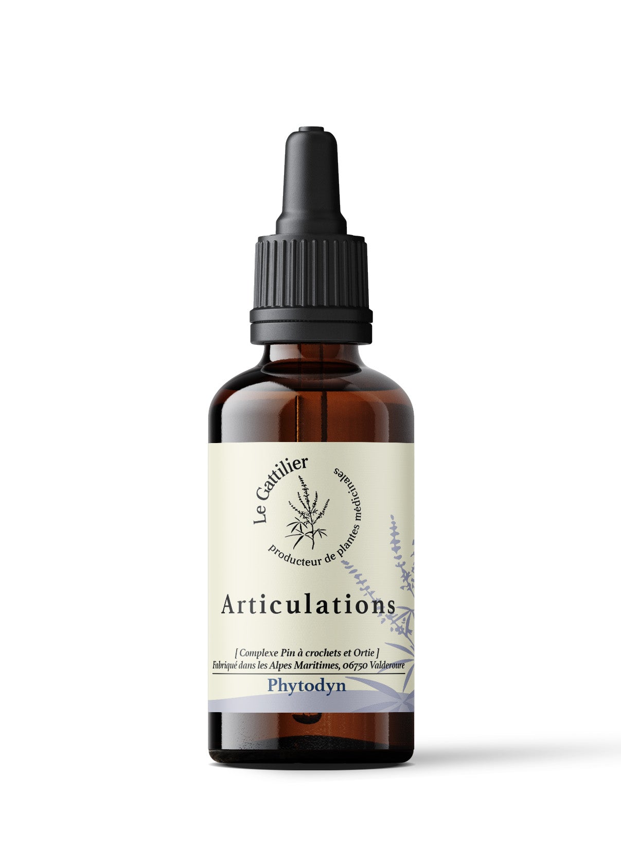 ARTICULATIONS