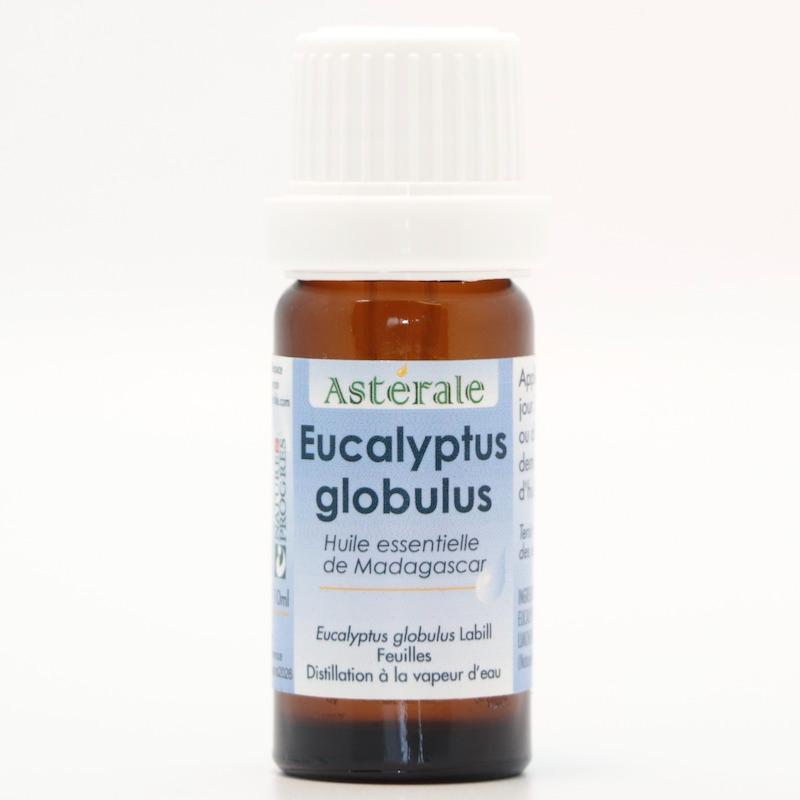 EUCALYPTUS GLOBULUS