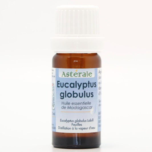 EUCALYPTUS GLOBULUS