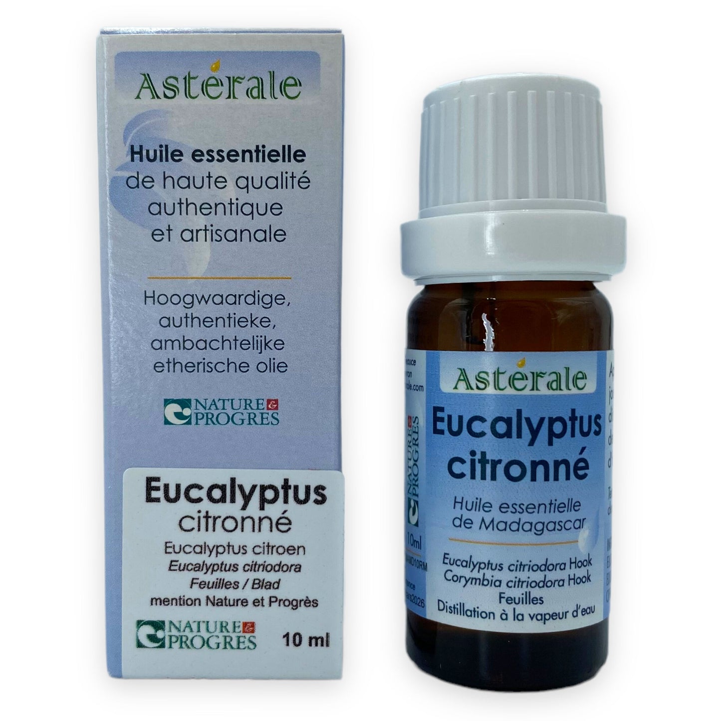 EUCALYPTUS CITRONNÉ