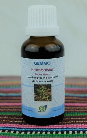 FRAMBOISIER