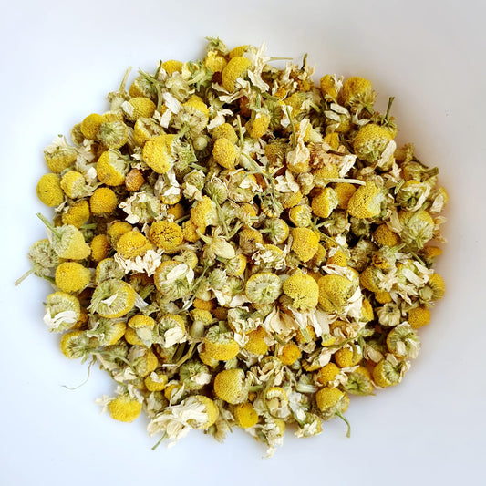 CAMOMILLE ALLEMANDE (MATRICAIRE)