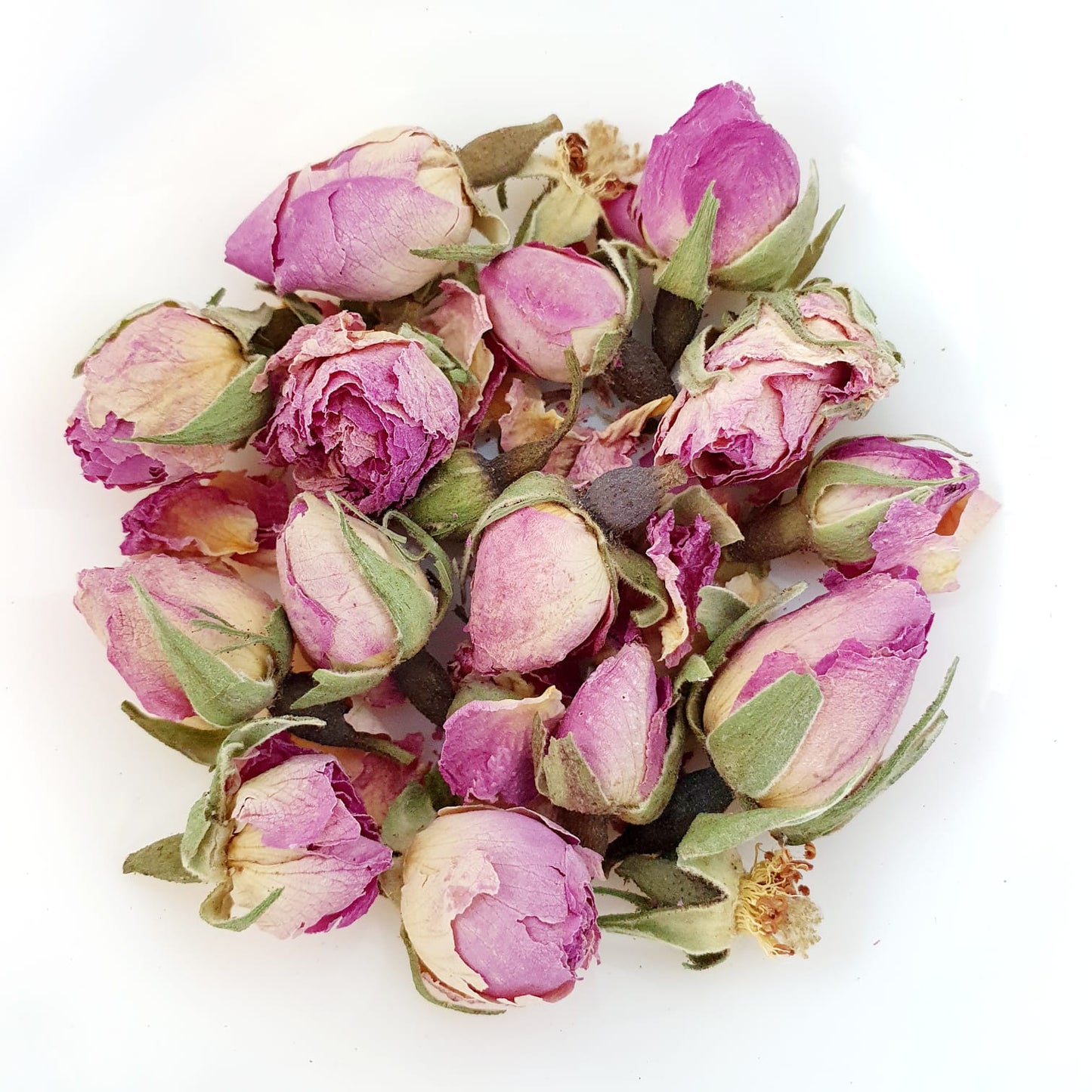 ROSE DE DAMAS