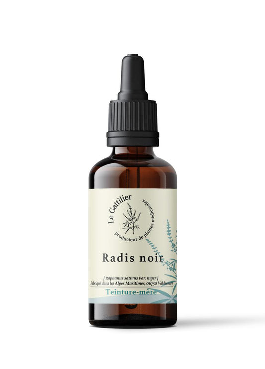 RADIS NOIR