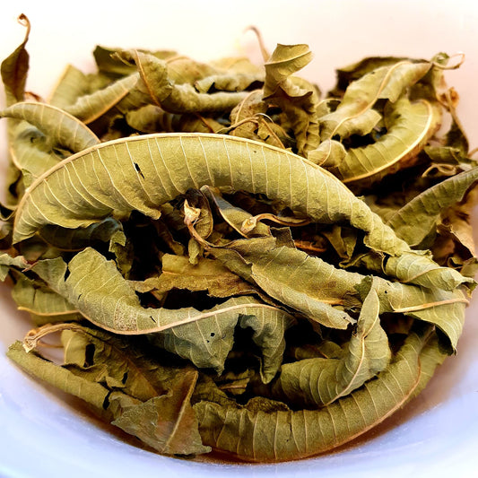 VERVEINE