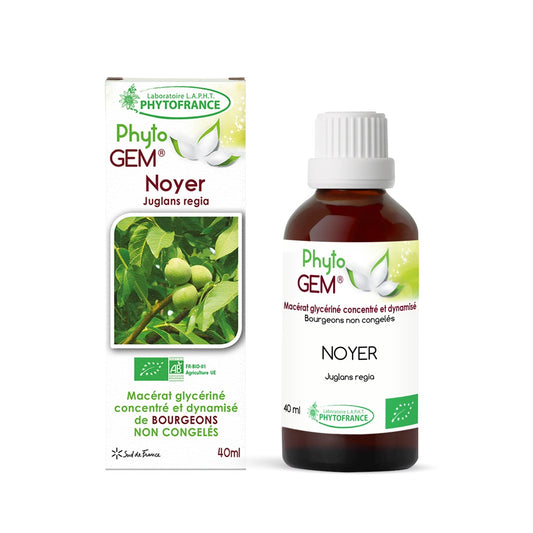 NOYER